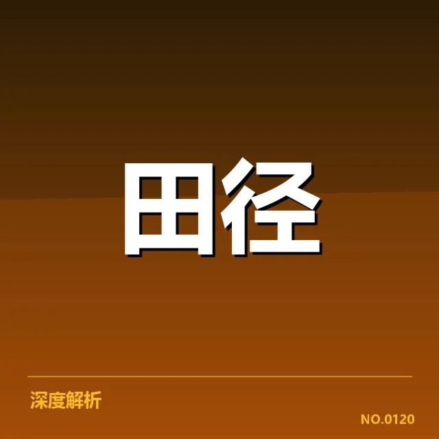 已确认的队员名单与排兵布阵